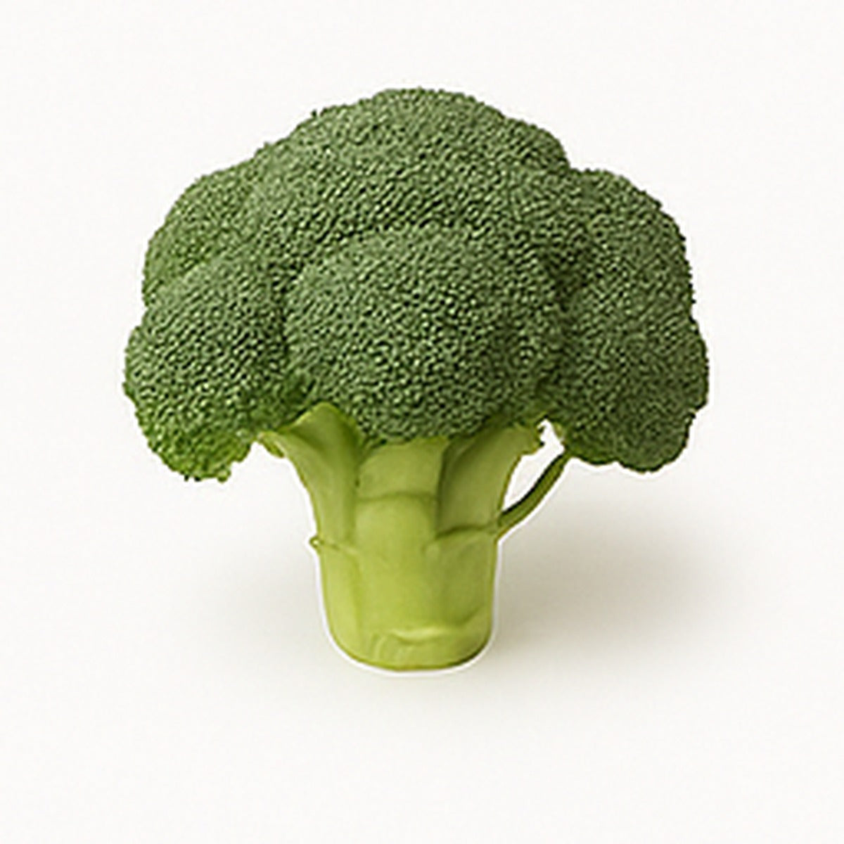 Broccoli (head)